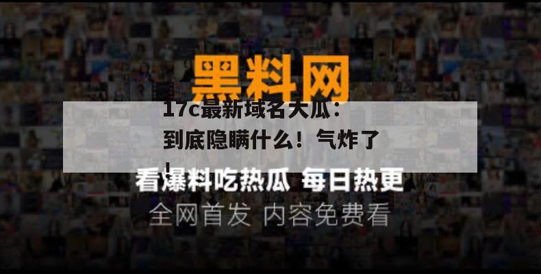 17c最新域名大瓜：到底隐瞒什么！气炸了！